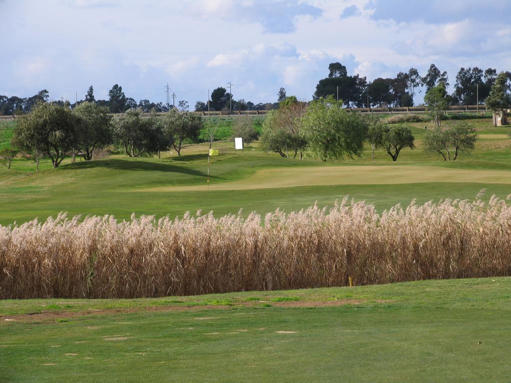 Golf Club Metaponto Hostal Exterior foto